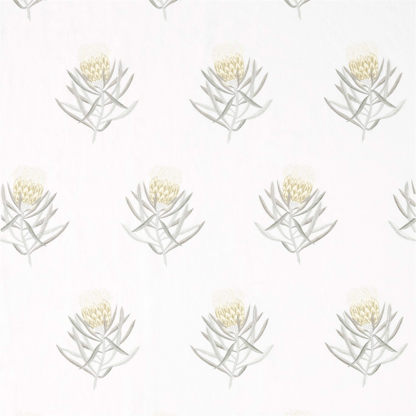 Protea Flower - Klassiska Engelska Möbler
